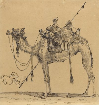 The Camel by Rodolphe Bresdin